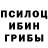 ГАШ гашик Mr. Kurtin