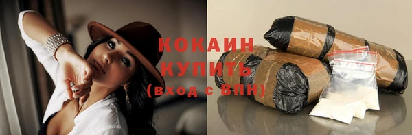 молекула духа Покровск