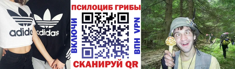 Псилоцибиновые грибы Cubensis что такое Озёры